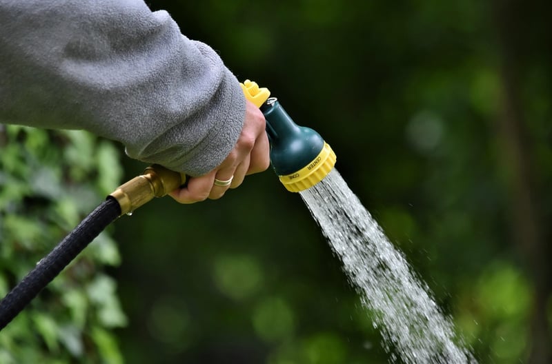 Recycled watering cans